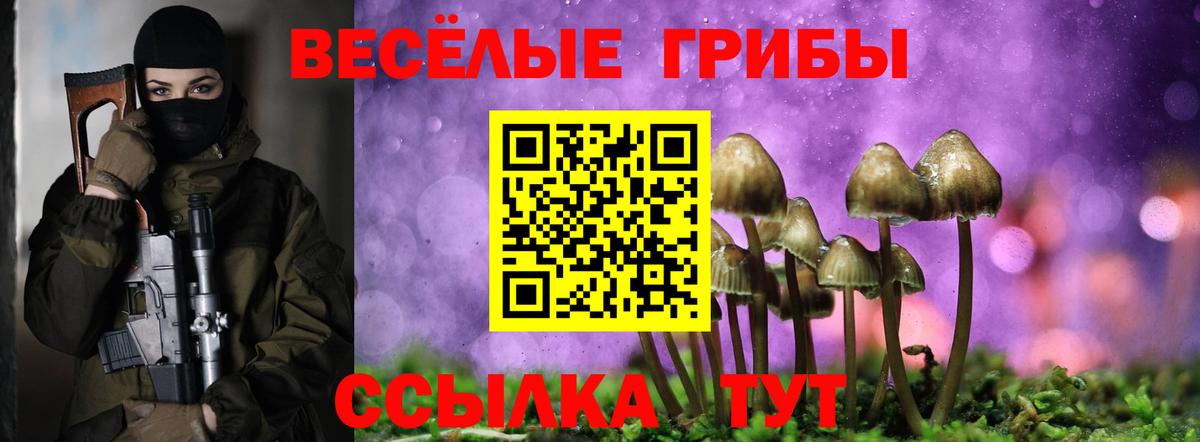 Псилоцибиновые грибы Psilocybine cubensis Якутск